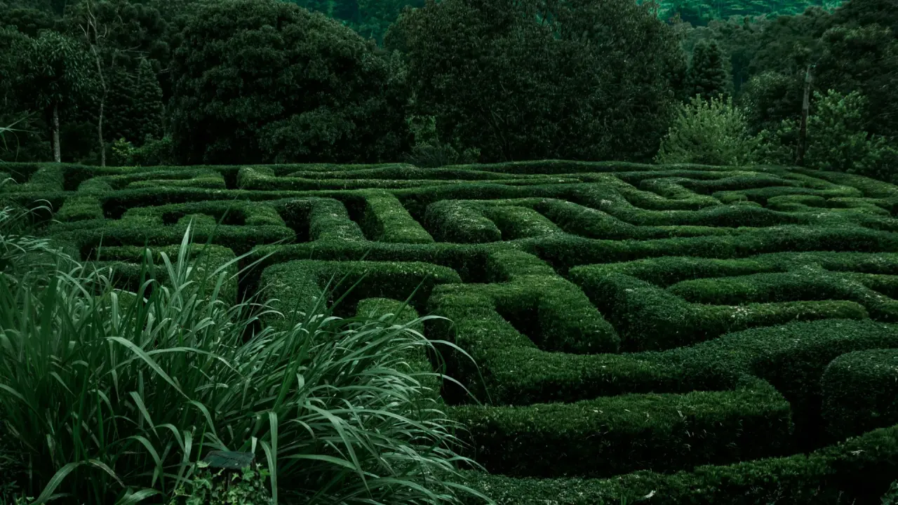 Ein Hecken-Labyrinth mit vielen verschiedenen Pfaden