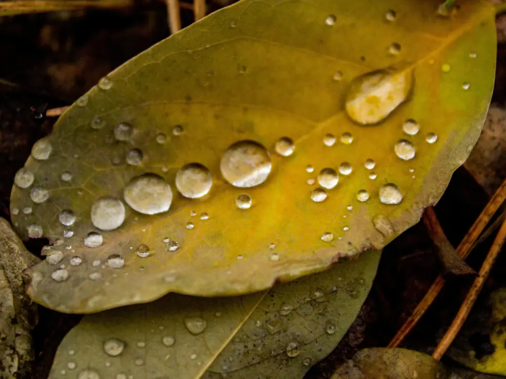 Methoden und Wirkung